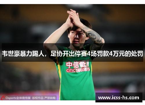 韦世豪暴力踢人,足协开出停赛4场罚款4万元的处罚 韦世豪暴力踢人,足协开出停赛4场罚款4万元的处罚